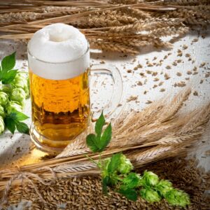 Frothy beer with wheat and hops